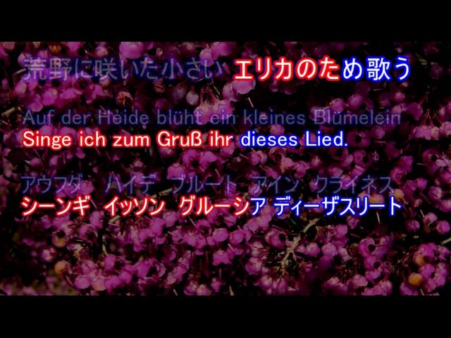 うたスキ ミュージックポスト エリカ行進曲 落葉雪 楽曲詳細